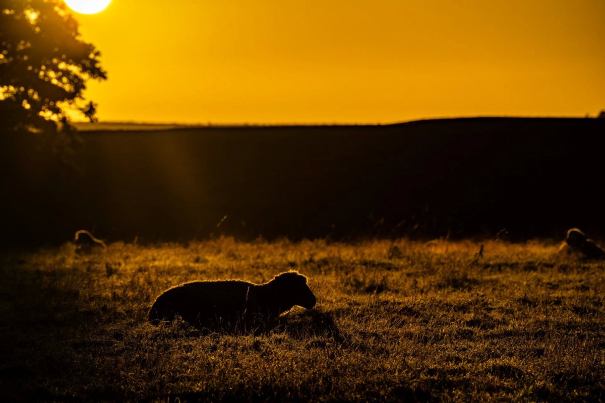 Avebury photograph