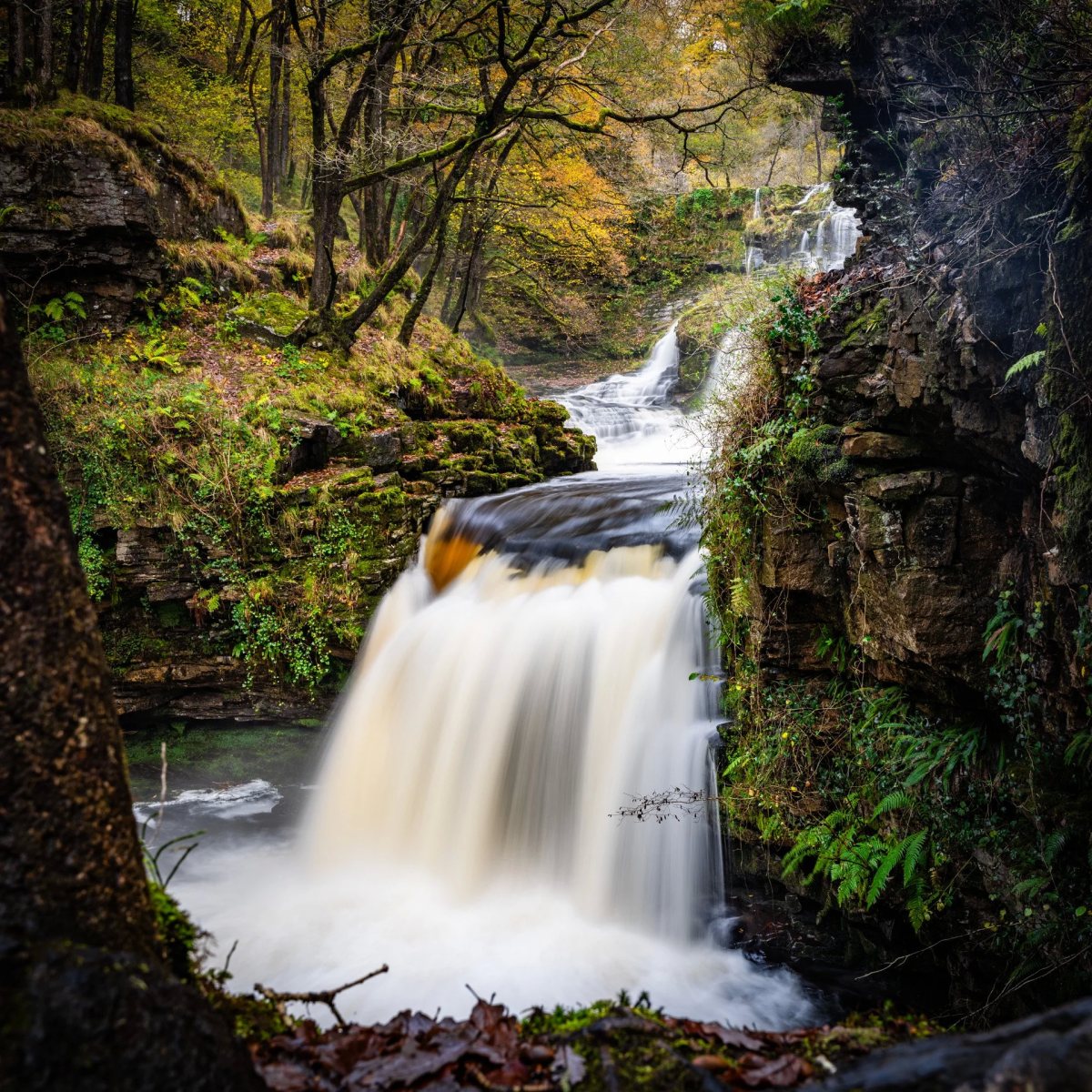Brecon Beacons Waterfalls photograph