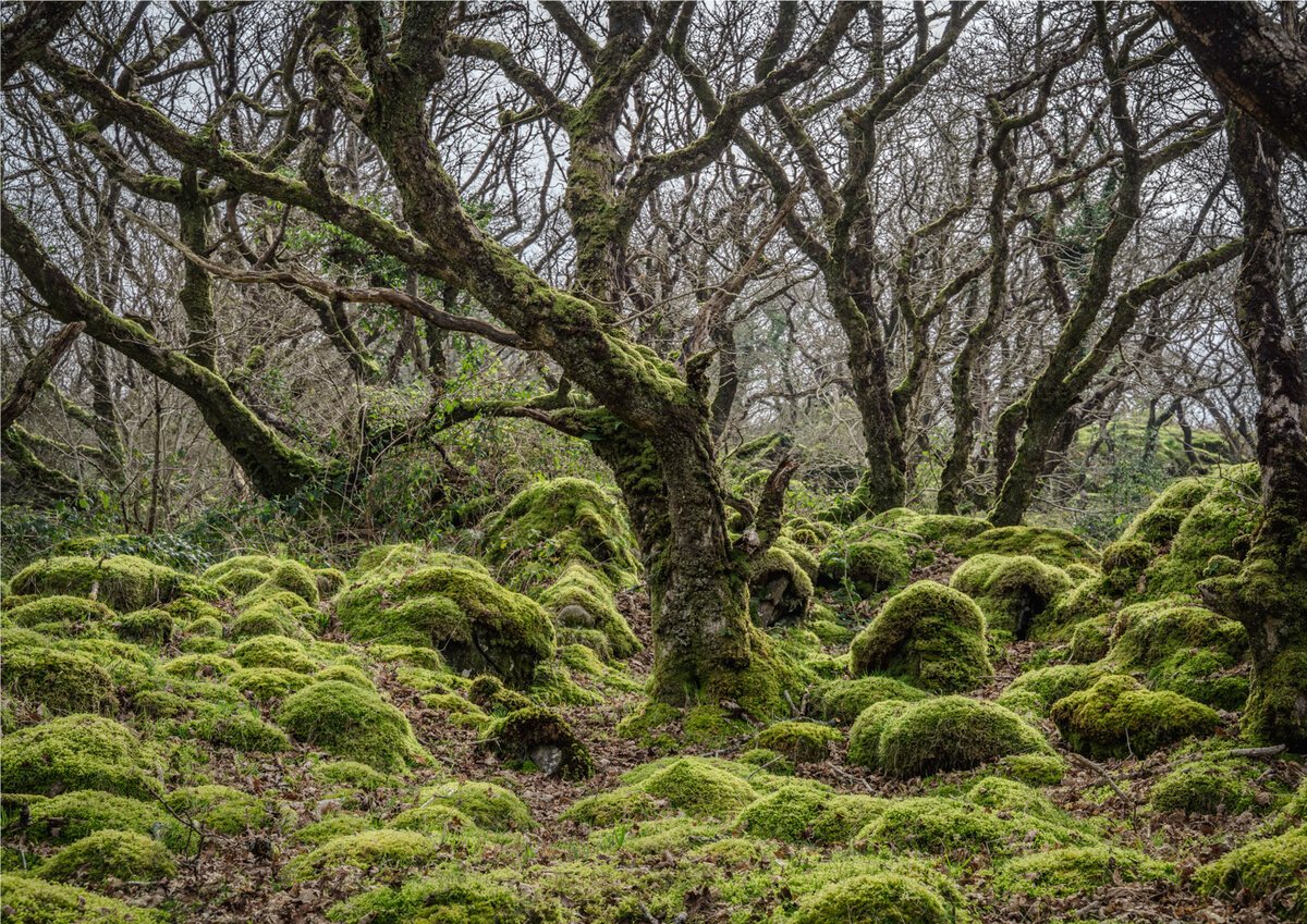 Ty Canol National Reserve 2