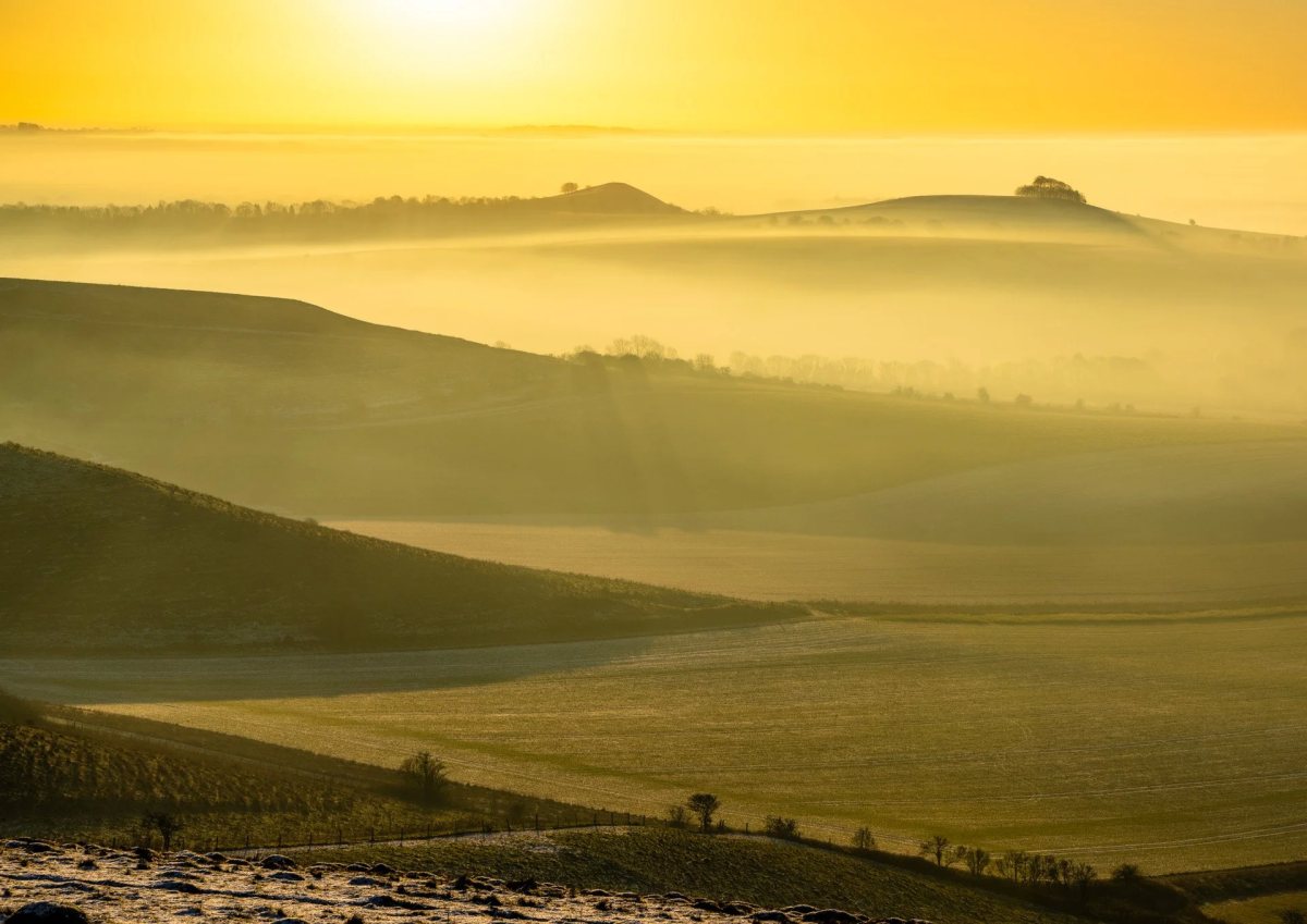 Wiltshire photograph