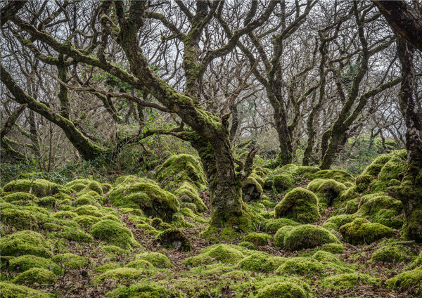 Ty Canol National Reserve 2